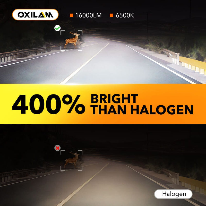 Oxilam Motor Vehicle Lighting OXILAM H8 H9 H11 H16(JP) LED Headlight/ Fog Light Bulbs 6500K High Bright CANbus