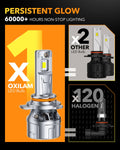 Oxilam Motor Vehicle Lighting OXILAM P2 Series 9012 LED Bulbs–High Brightness and Long-Lasting Performance