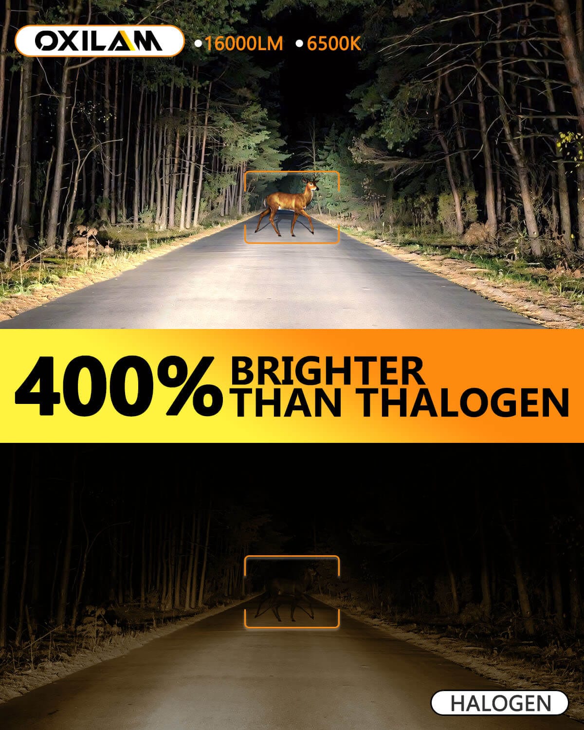 Oxilam Motor Vehicle Lighting OXILAM Q26 Series 9006 LED Headlight Fog Light Bulbs 6500K White High Bright CANbus