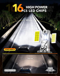 Oxilam Motor Vehicle Lighting OXILAM Q36 Series H7 LED Headlights or Fog Lights - 40,000LM, 900% Brightness, 6500K Cool White, 1:1 Halogen Size, 3-Min Install, IP68 Waterproof