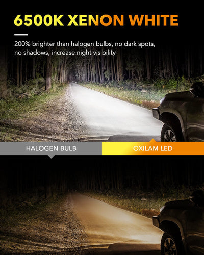 OXILAM H7 LED Bulbs 400% Brighter, 6500K Cool White 8 LED Chips No Dark  Spot, 1:1 Size No Adapter Required, All-in-One Forward Light Fog Lights